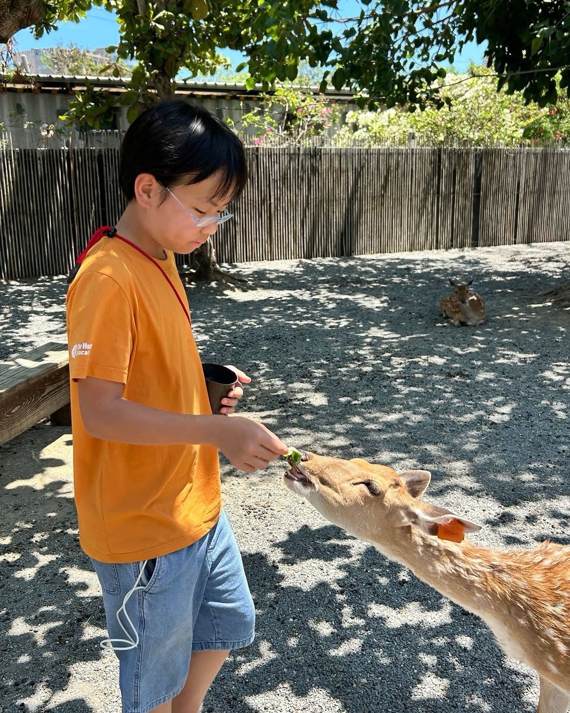 Herpetology Club Trip to Taiwan