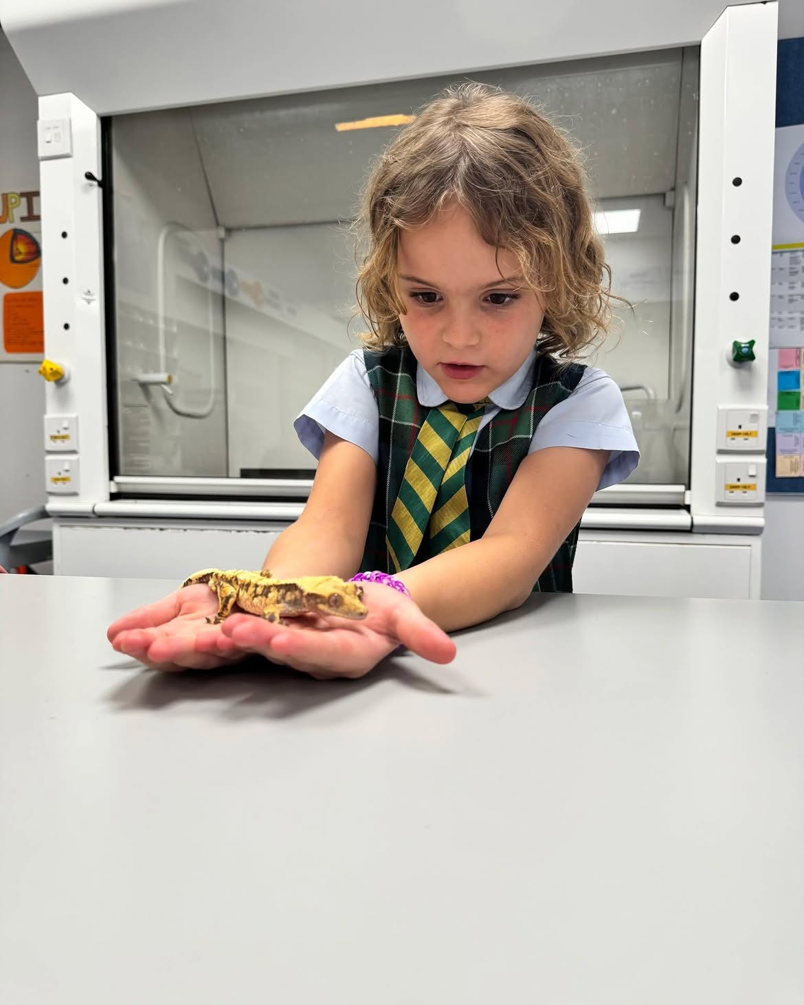 Hands-On Learning at the Reptile Club
